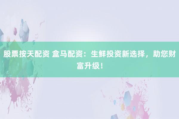股票按天配資 盒馬配資：生鮮投資新選擇，助您財(cái)富升級(jí)！