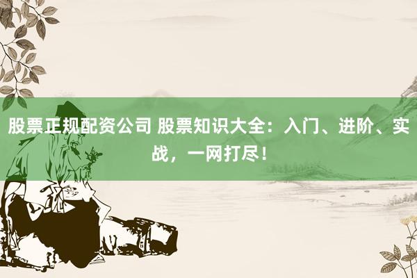 股票正規(guī)配資公司 股票知識(shí)大全：入門、進(jìn)階、實(shí)戰(zhàn)，一網(wǎng)打盡！