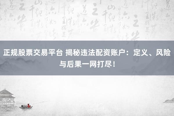 正規(guī)股票交易平臺 揭秘違法配資賬戶：定義、風(fēng)險與后果一網(wǎng)打盡！